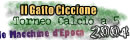 Torneino 2004